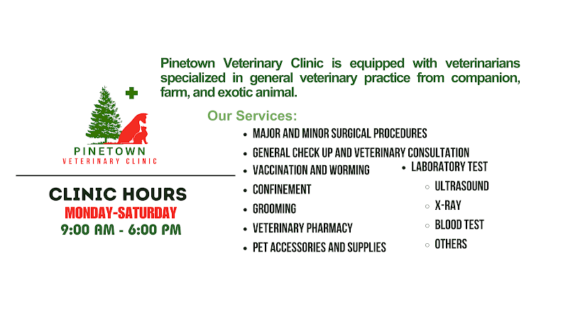 Pinetown Veterinary Clinic listing photo