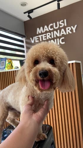 Macusi Veterinary Clinic listing photo