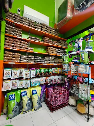 Mindz Pet Veterinary and Grooming Services Navotas Cuatro listing photo