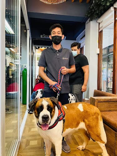 Galpa Veterinary Clinic listing photo