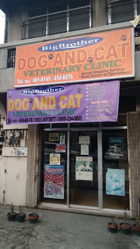 Big Brother Dog and Cat Veterinary Clinic listing photo