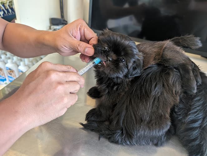 Vets at Work Veterinary Clinic listing photo