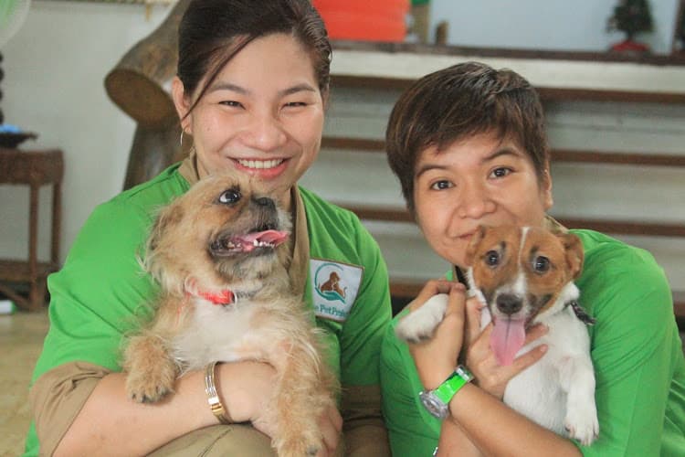The Pet Project Vet Clinic listing photo
