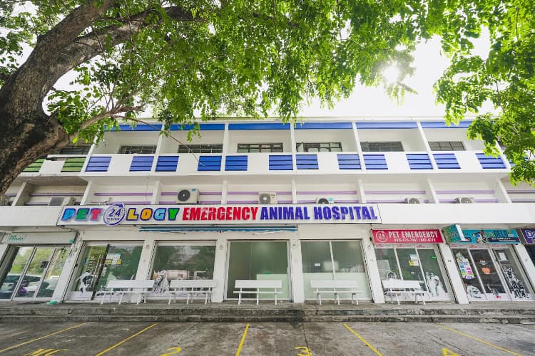 Petology Emergency Animal Hospital Inc. listing photo