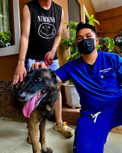 Dr. Richard's Veterinary House Calls (Home Service Veterinarian) listing photo
