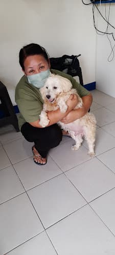AlphaVets Animal Clinic listing photo