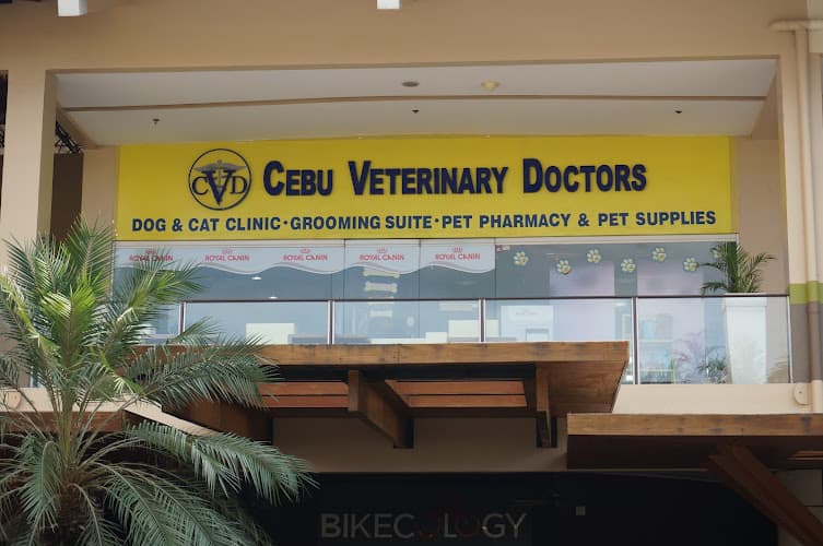 Cebu Veterinary Doctors - BTC Branch listing photo