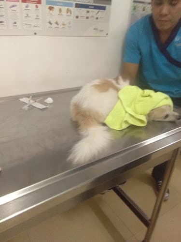Oltier Veterinary Hospital listing photo