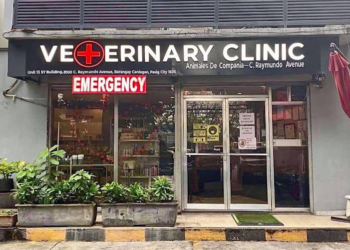 Animales De Compania Veterinary Clinic - C. Raymundo Avenue listing photo