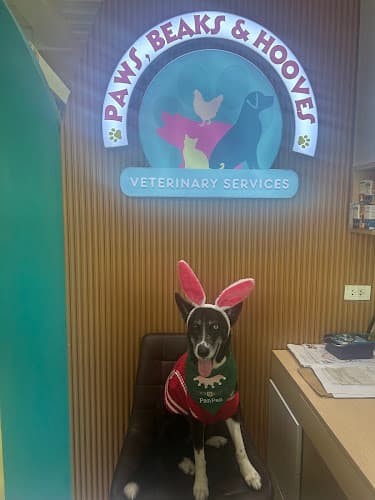 Paws, Beaks and Hooves Veterinary Clinic listing photo
