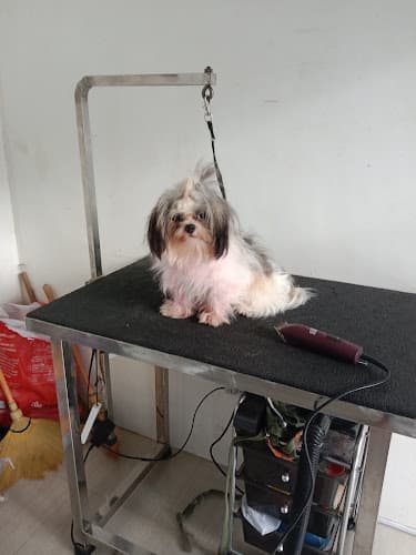 mauller Veterinary clinic listing photo
