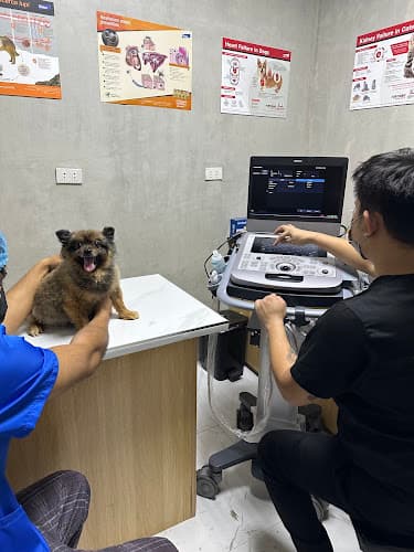 Vetfusion Animal Clinic - SJDM Branch listing photo