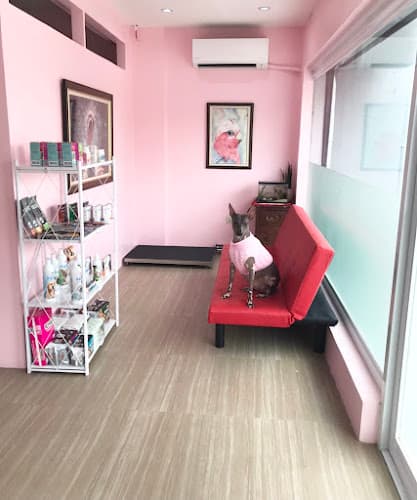 Family Pet Care Veterinary Clinic listing photo