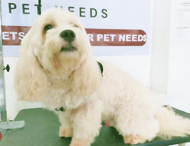 DR. ART Pet Needs Veterinary Clinic listing photo