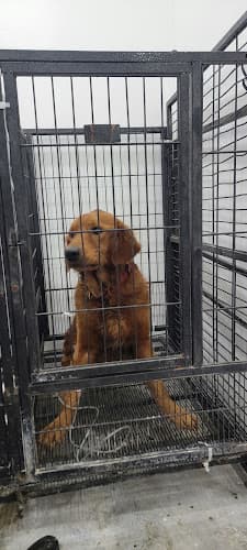 Akkadia Veterinary Clinic Consolacion listing photo