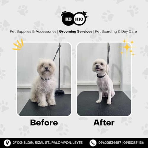 K9 & K10 Veterinary Clinic listing photo