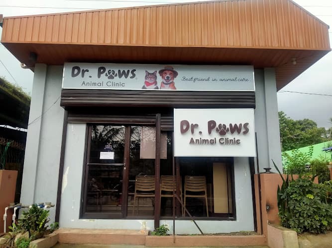Dr. Paws Animal Clinic listing photo