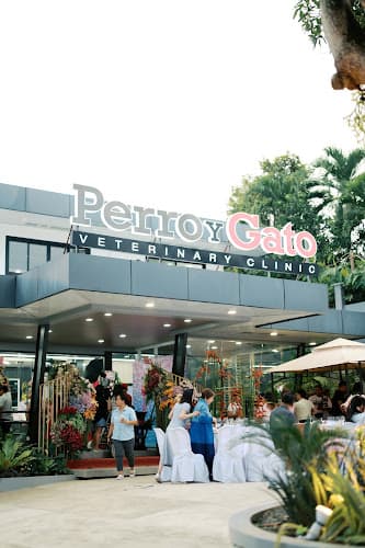 Perro y Gato Veterinary Clinic Main listing photo