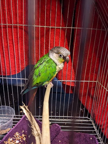 Antipolo Veterinary Center listing photo