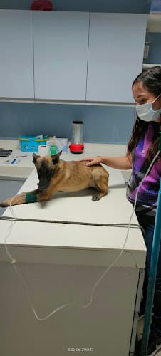Zamboanga Veterinary Services listing photo