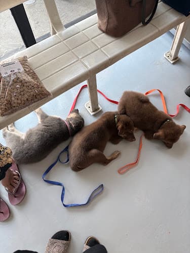 FurCare Veterinary Clinic listing photo