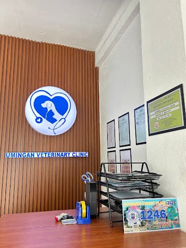 Umingan Veterinary Clinic listing photo