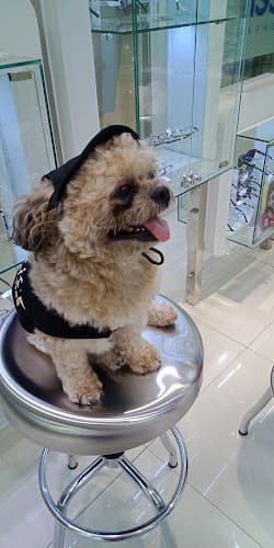 Animal Wonders Veterinary Clinic listing photo