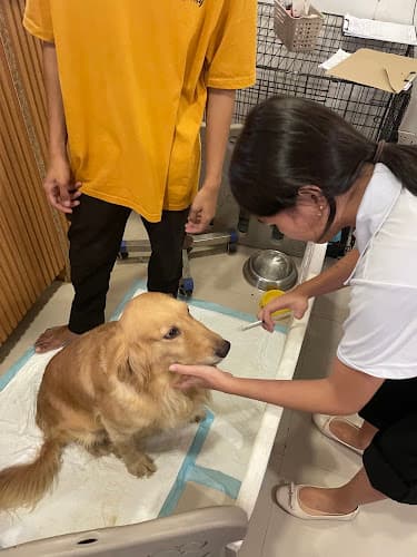 Bet na Vet Veterinary Clinic Maasin City listing photo