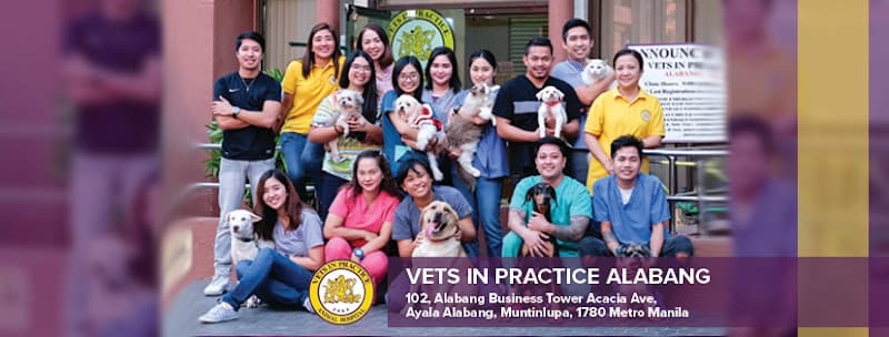 Vets In Practice Alabang listing photo