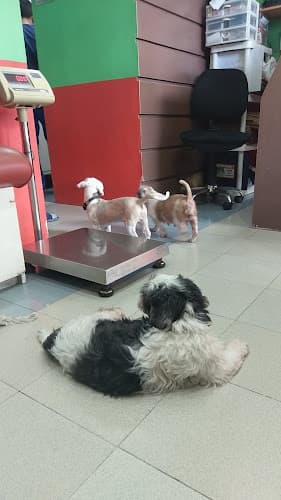 Wags & Tails Veterinary Clinic ( Managed by The Veterinary Hub Pte. Corp.) listing photo