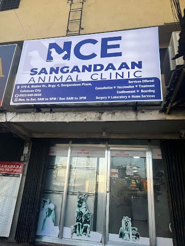 NCE Sangandaan Animal Clinic listing photo
