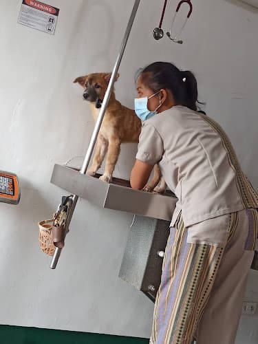 Sampaguita Animal Clinic listing photo