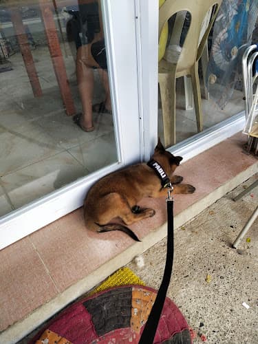 AR Veterinary Clinic Bulanao Main, Tabuk City, Kalinga listing photo