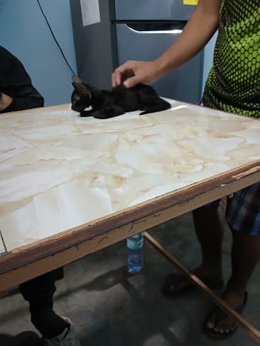 V.E.N Veterinary Clinic (Alcala Branch) listing photo