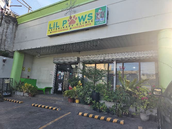 Lil paws veterinary clinic listing photo