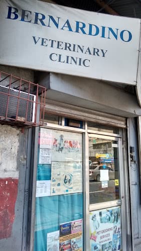 BVC Bernardino Veterinary Clinic listing photo
