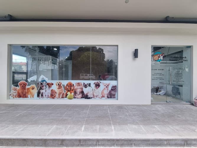 Golden Bunch Veterinary Clinic Imus Cavite listing photo