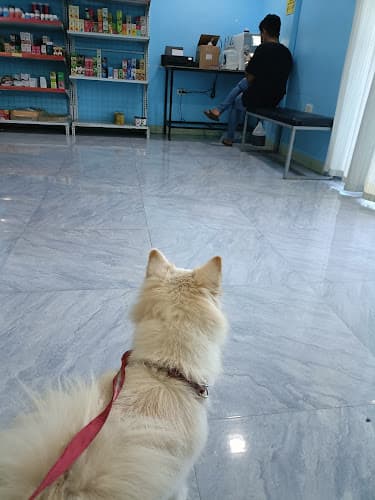 Kho Veterinary Clinic Nabua Branch listing photo