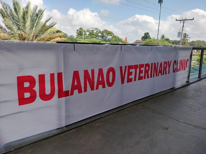 Bulanao Veterinary Clinic listing photo