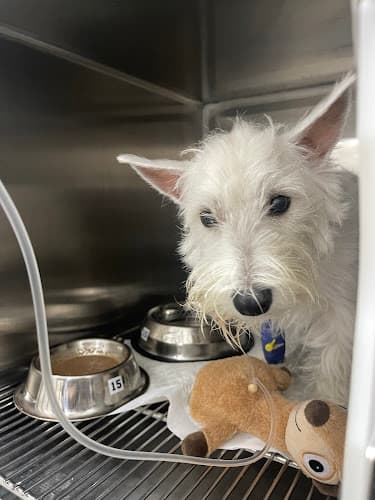 Mount Sinai Veterinary Practice listing photo