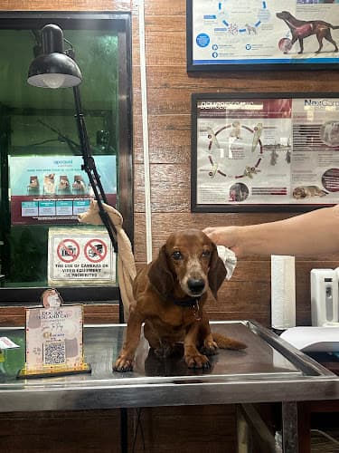 Dok Ray Dog and Cat Clinic listing photo