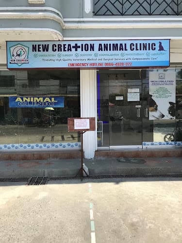 New Creation Animal Clinic La Union listing photo