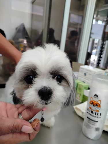 MJM Veterinary Clinic and Supplies listing photo