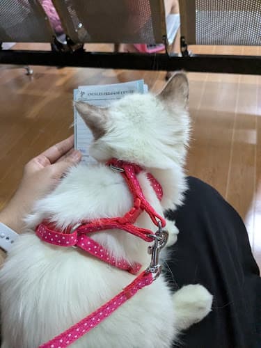 Angeles Pet Care Center Sucat listing photo