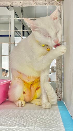 PetsBest Pet Supplies and Veterinary Services listing photo