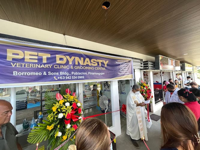 Pet Dynasty Veterinary Clinic - Pinamungajan Branch listing photo