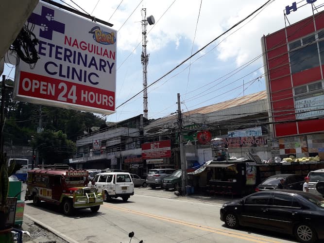 NAGUILIAN VETERINARY CLINIC listing photo