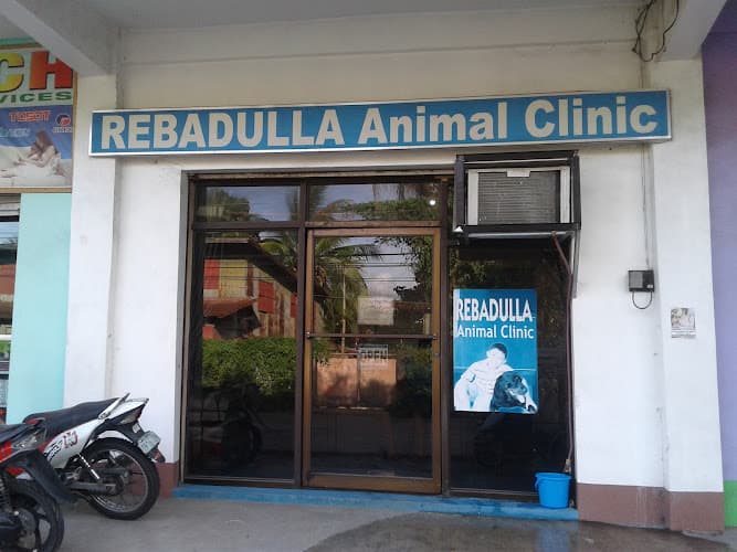 Rebadulla Animal Clinic listing photo