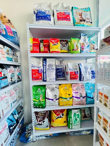 Daylight Paws Veterinary Clinic listing photo