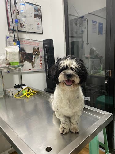 Petlink - EDSA, Caloocan listing photo
